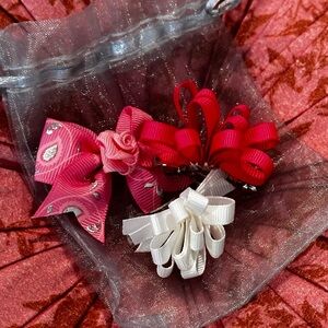 Bundle of 3 Doggy Hair Accessories 🐶